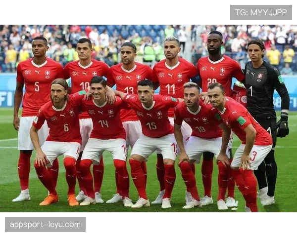 威尔士表现稳健，成功锁定欧洲杯预选赛晋级名额